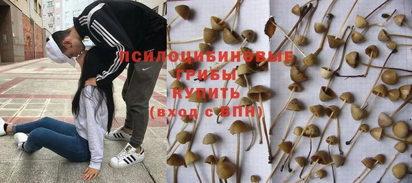 мдпв Беломорск