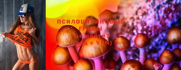 мдпв Беломорск